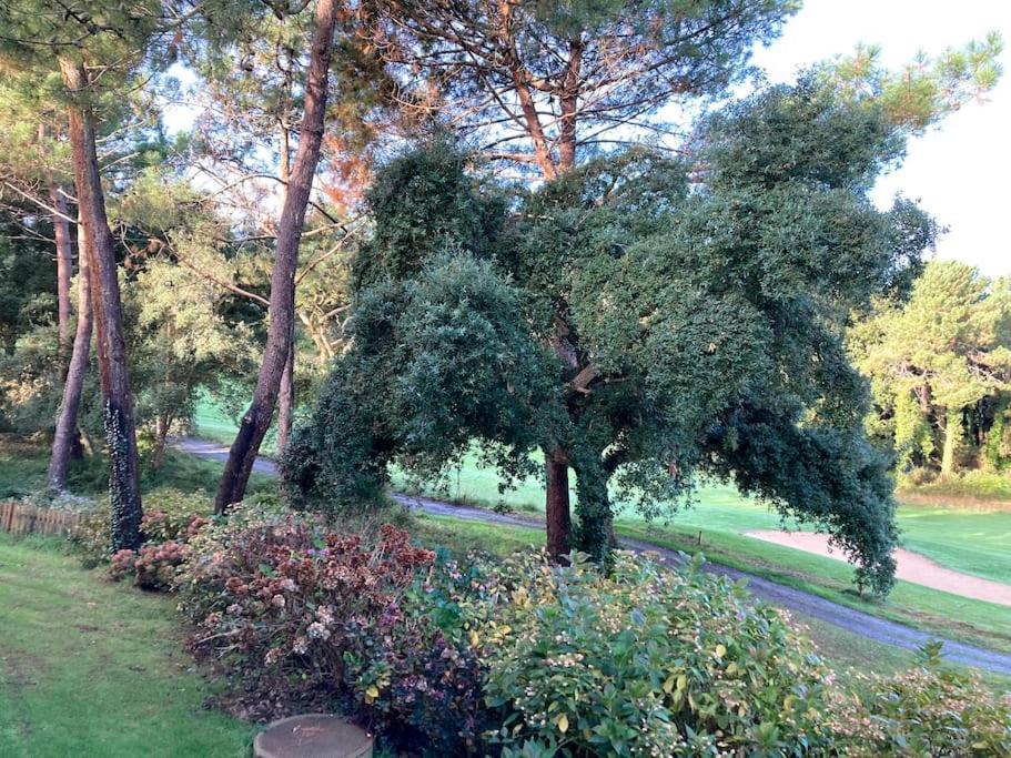 Vue Golf Dans Residence Nature "Sympalappart" Moliets-et-Maa Zewnętrze zdjęcie